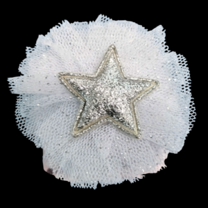 "Star hair clip"